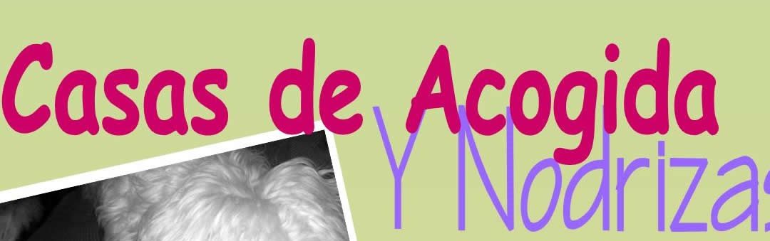 Taller “Casas de acogida y nodrizas”