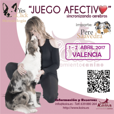 6 MAYO’17 – Seminario “Juego Afectivo: Sincronizando Cerebros”