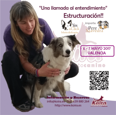 ANULADO!!! Seminario “Una llamada al entendimiento” Estructuración!!