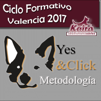 Ciclo Formativo Yes&Click Valencia 2017 con Pere Saavedra