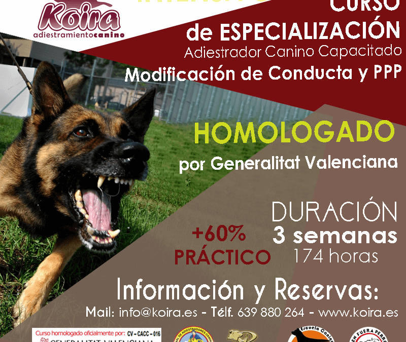 Curso Homologado por la Generalitat Valenciana de Adiestrador Canino Profesional Capacitado Especializado en Modificación de Conducta y PPP