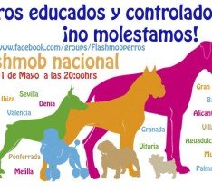 Perros educados….. ¿no molestamos?