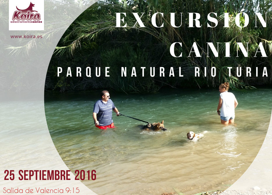 Domingo Perruno: Salida a Villamarxant Parque Natural del Rio Turia