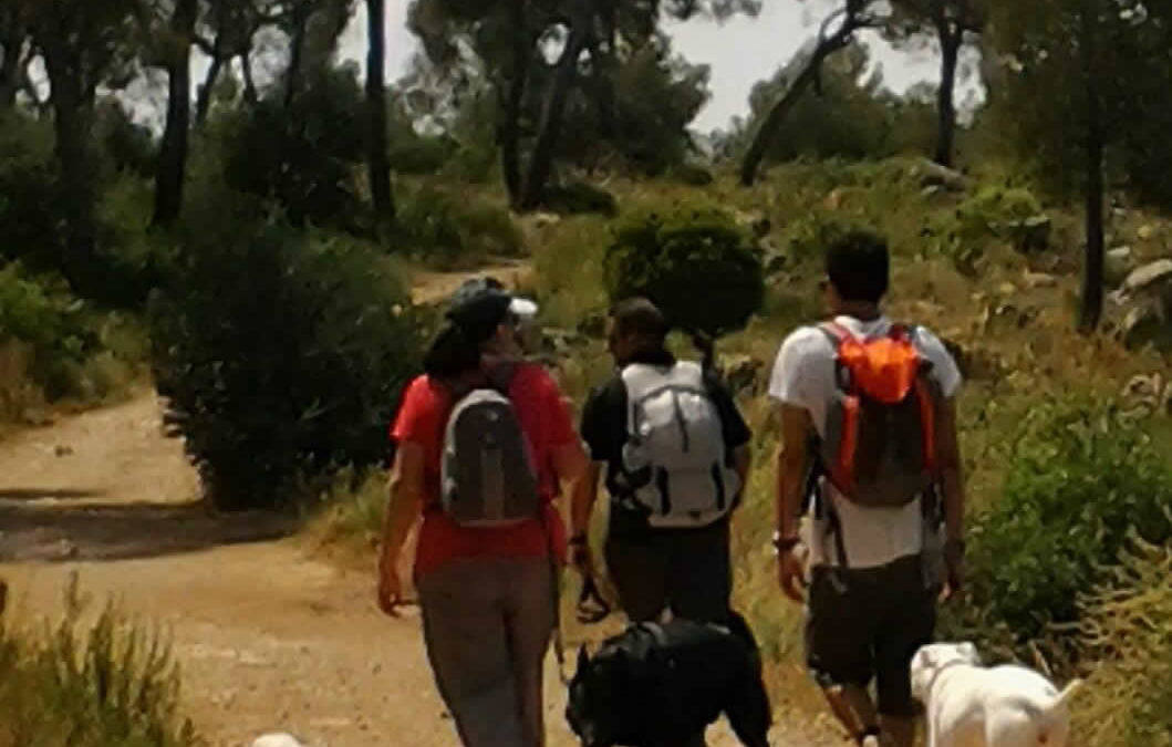 Nos vamos de Excursión: Salida a Villamarxant Parque Natural del Rio Turia