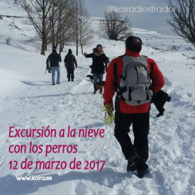 12 Marzo’17 – Excursión a la nieve con los perros