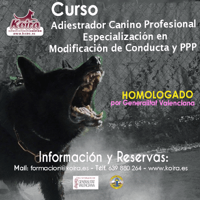 Curso de Adiestrador Profesional Homologado por Generalitat Valenciana