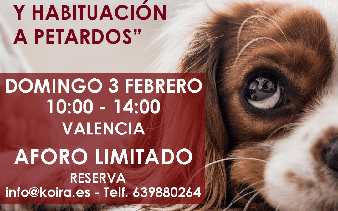 Taller práctico: Reducción de Estrés y Habituación a petardos en perros